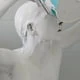 ShinyPet