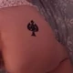 vixenstudless